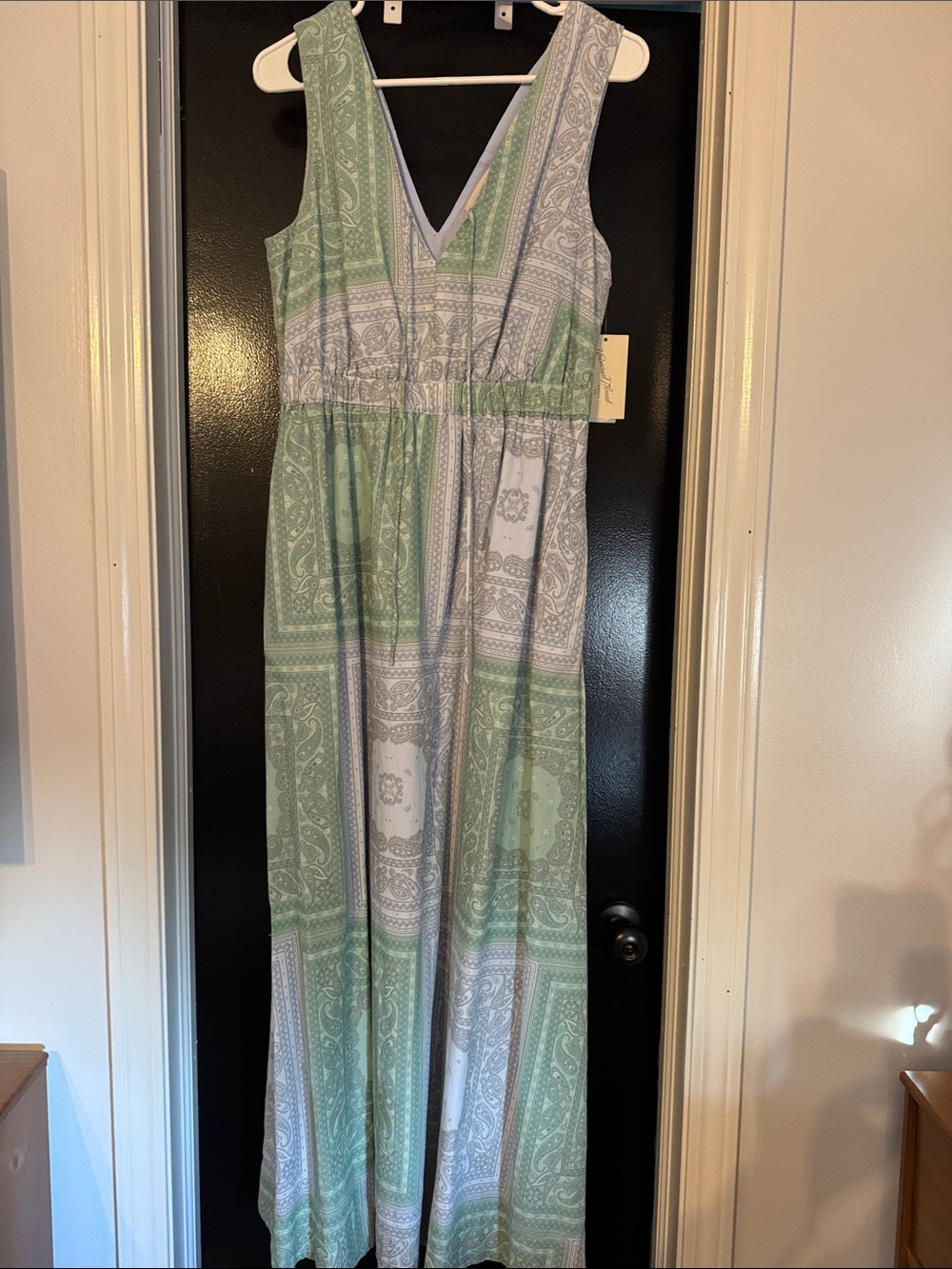 Universal Thread Sleeveless V-Neck Maxi Dress in Sage and Light Gray Paisley
